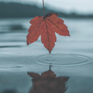 嫲嫲让我脱了内裤C她
